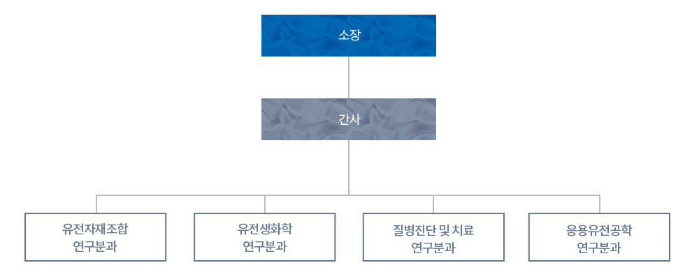 조직도